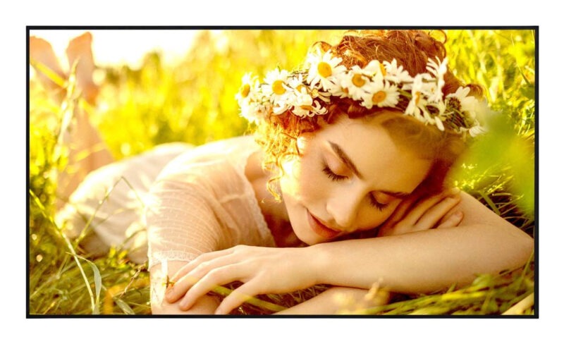 LG 65UL5Q-E Display Digital Signage - 65″